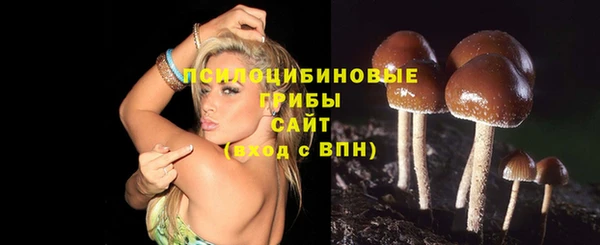 марки lsd Горнозаводск