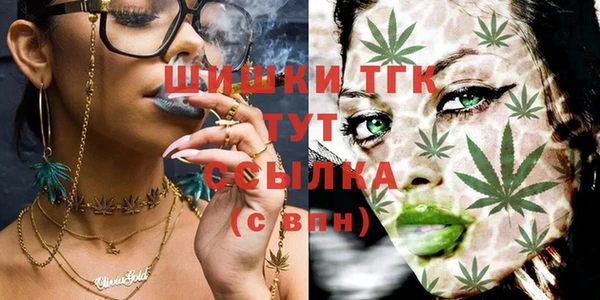 амф Ступино